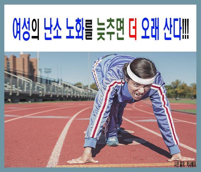 [건강 #12] 여성의 난소 노화를 늦추면 더 오래 산다.jpg